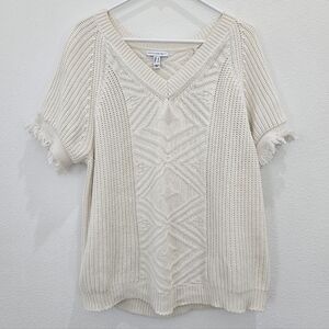 V-Neck Raglan Sleeve Knit Sweater
